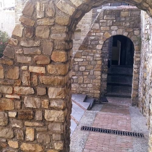 Photo #4447654