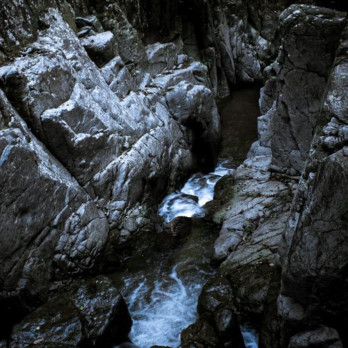 Photo #4447735