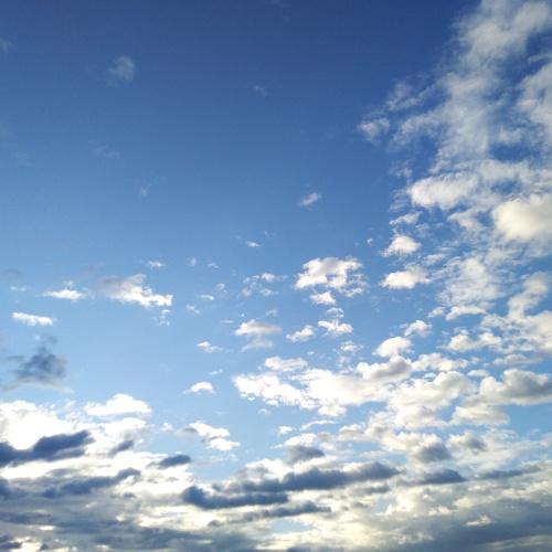 Photo #4447749