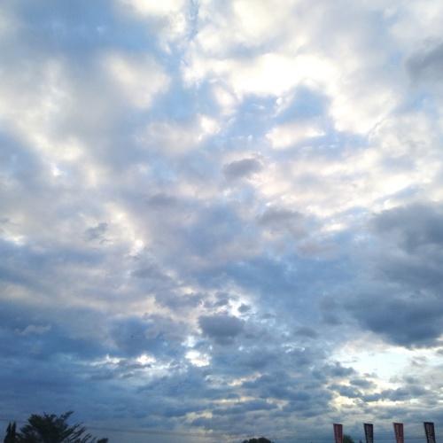 Photo #4447750