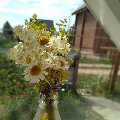 Photo #4447841