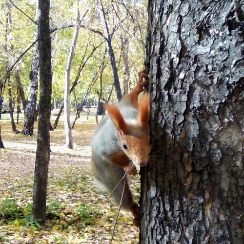 Photo #4447858