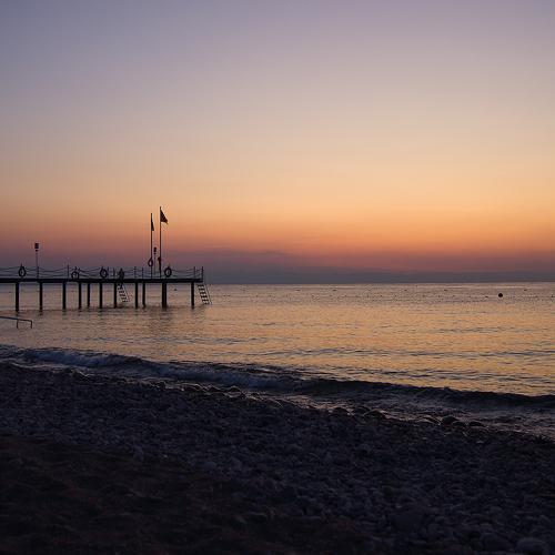 Photo #4448006
