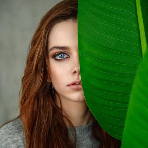 Photo #4448363