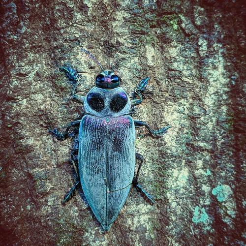 Photo #4448584