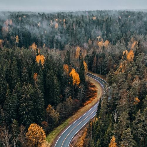 Фотография #4448631