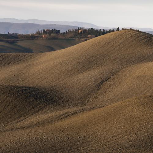 Photo #4448901