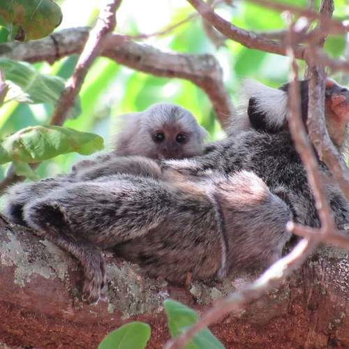 Photo #4449711