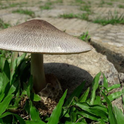 Photo #4449802