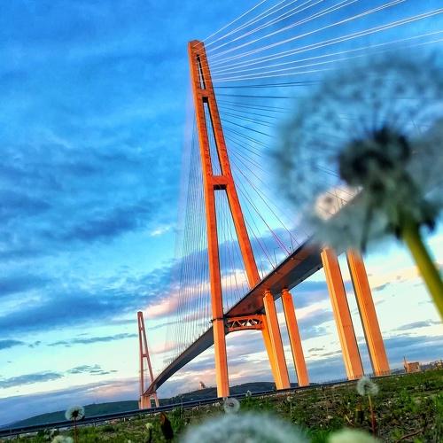 Photo #4449892