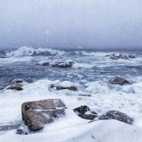 Photo #4449897