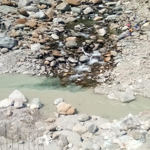 Photo #4450026