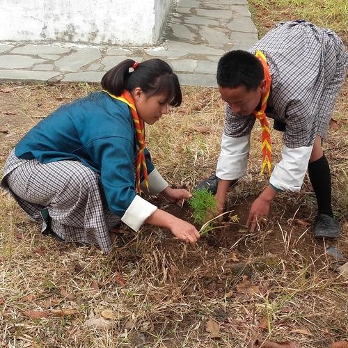 Photo #4450053