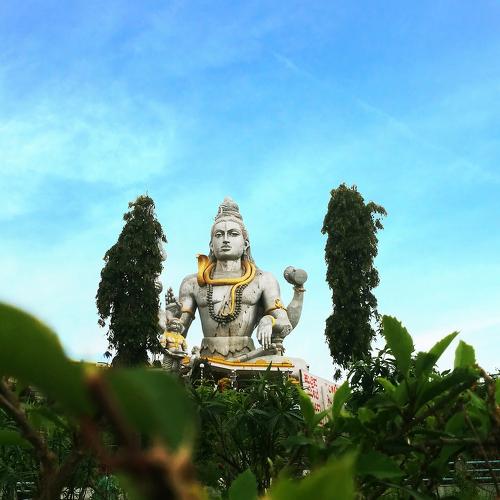 Photo #4450123