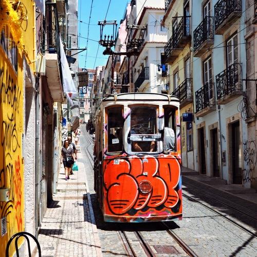 Photo #4450133