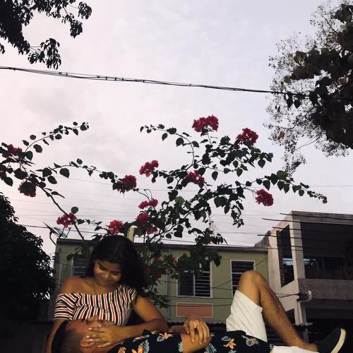 AMOR TUMBLR