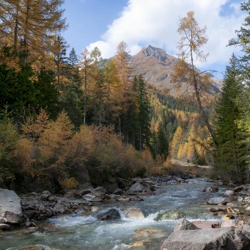 Photo #4451026