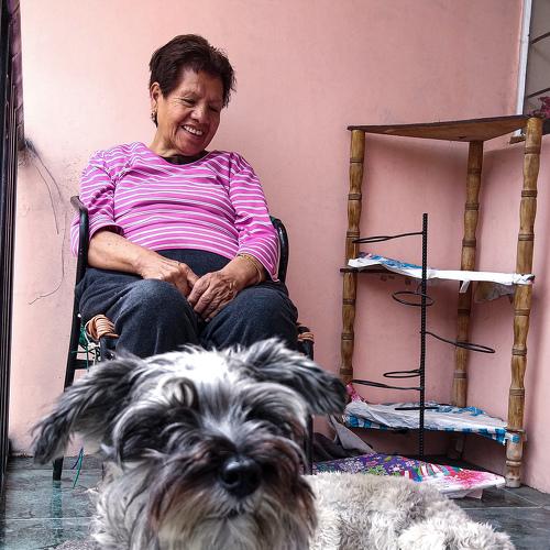 Photo #4451160