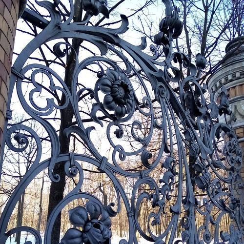 Photo #4451293