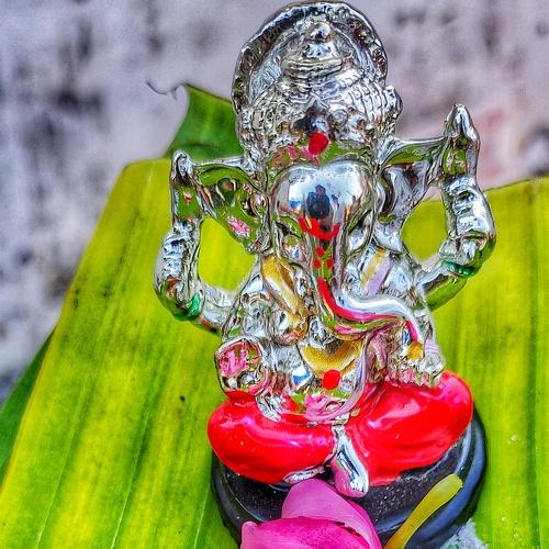Photo #4451375
