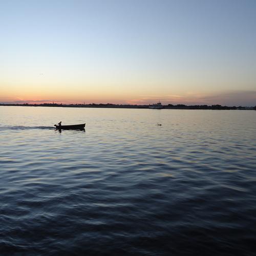 Photo #4451409
