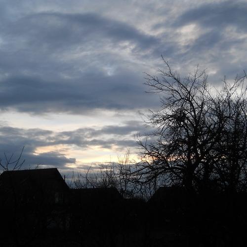 Photo #4451747