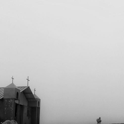 Photo #4451829