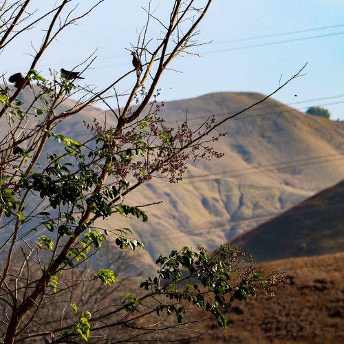 Photo #4451843