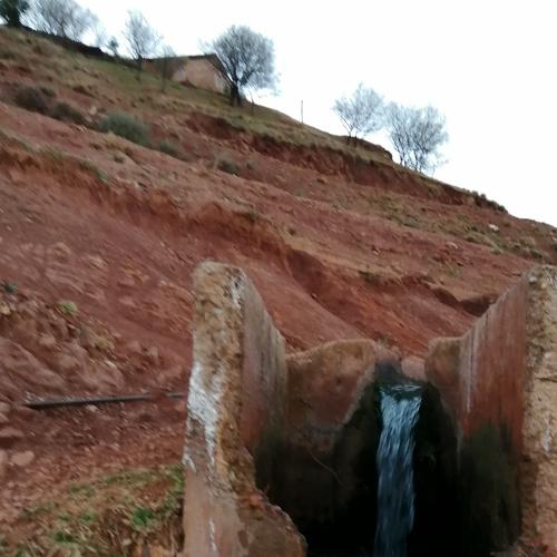 Photo #4452022