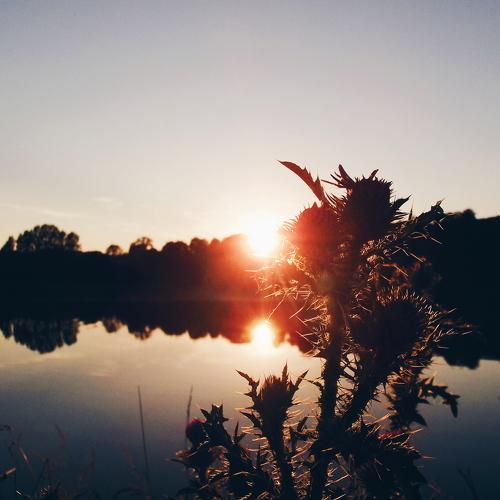 Photo #4452070