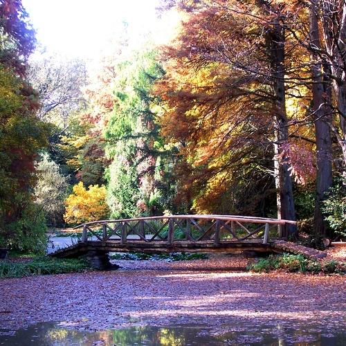 Photo #4452095