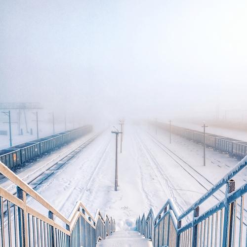 Photo #4452342