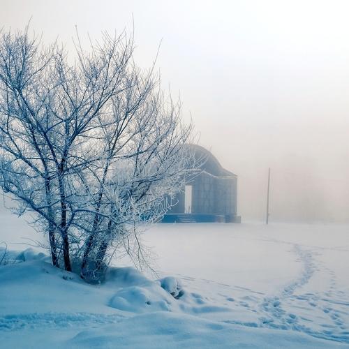 Photo #4452344
