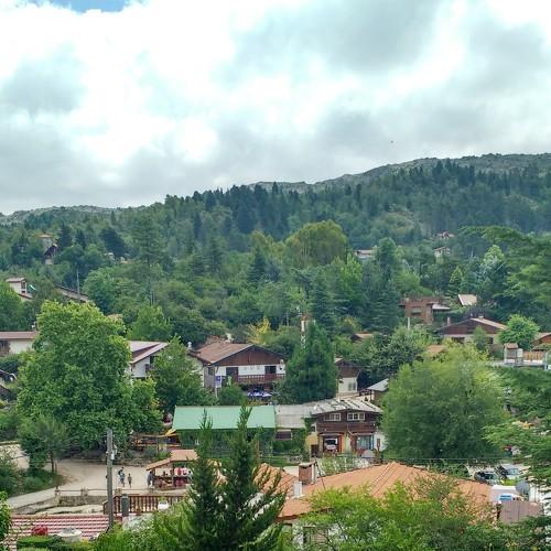 Photo #4452545