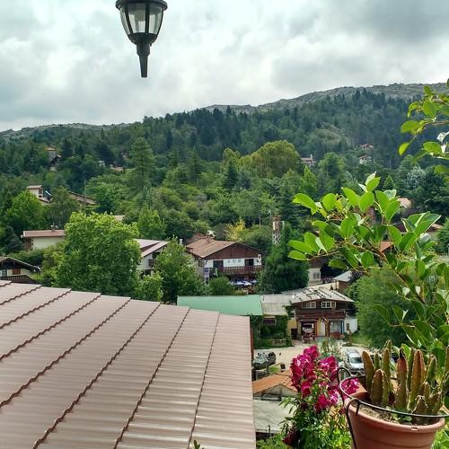 Photo #4452548