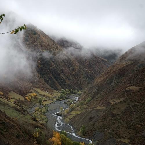 Photo #4452575