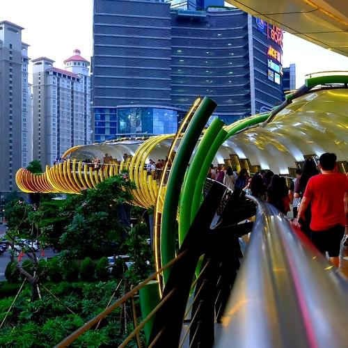 Eco Skywalk - Jakarta
