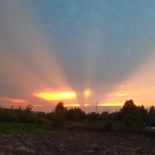 Photo #4452643