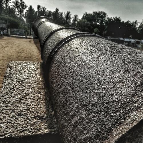Photo #4452782