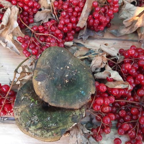 Photo #4452824