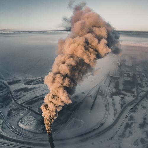 Photo #4452981
