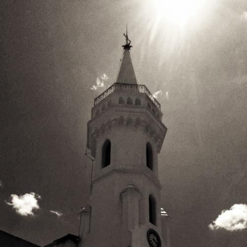 Photo #4453017