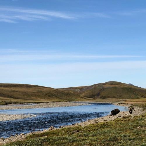 Photo #4453083