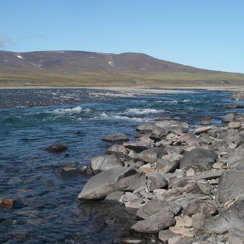 Photo #4453087
