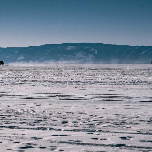 Photo #4453196