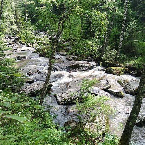Photo #4453408