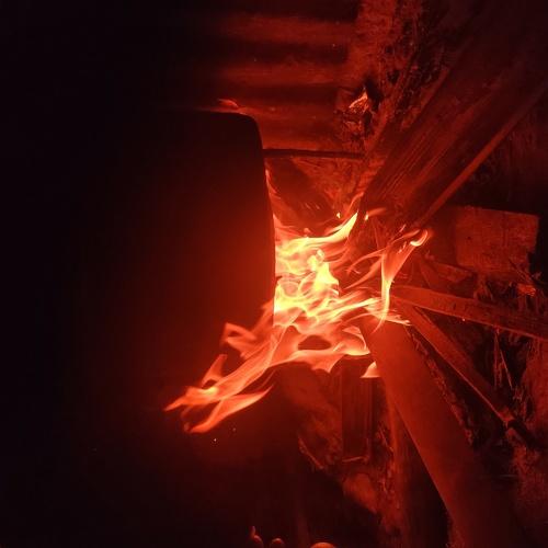 Photo #4453478