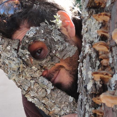 Photo #4453788