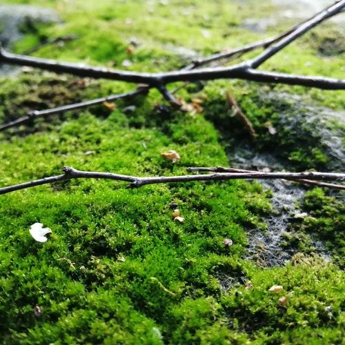 Photo #4453919