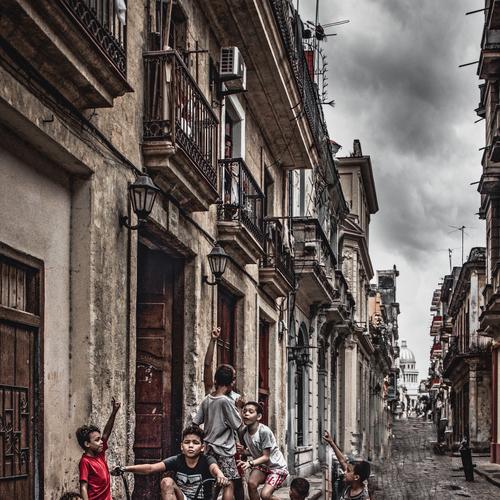Photo #4454030